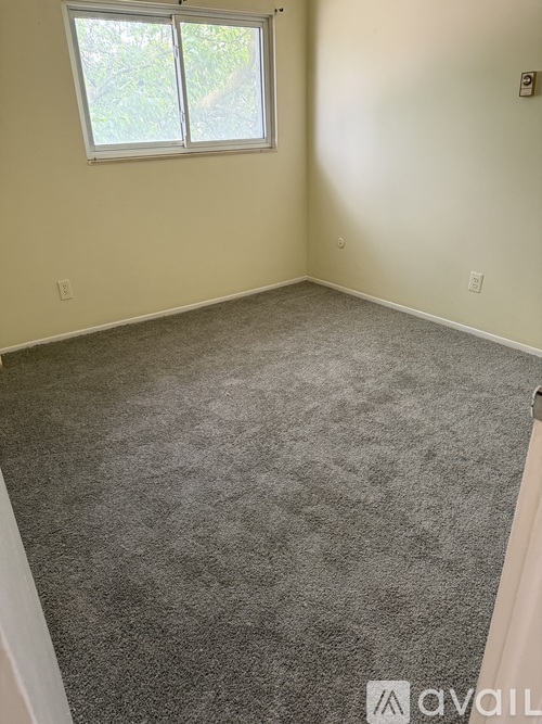 A room with a carpeted floor and a window.