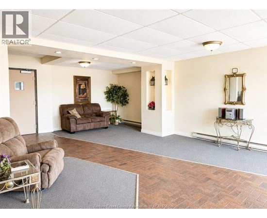 A living room with a brown couch and a grey rug.