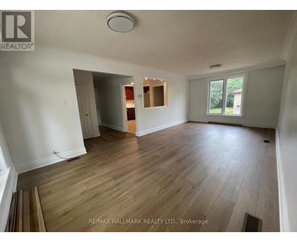 A room with wooden flooring and a window showing greenery outside.