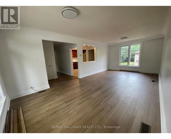 A room with wooden flooring and a window showing greenery outside.