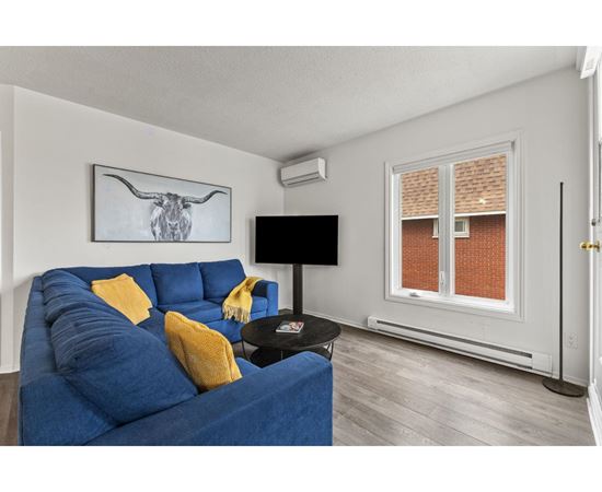A blue couch with yellow pillows sits in a room with a cow picture on the wall.