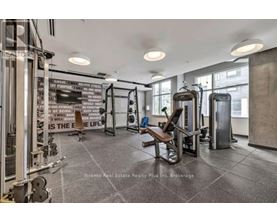 A gym with a variety of equipment including treadmills, weights, and a bench press.