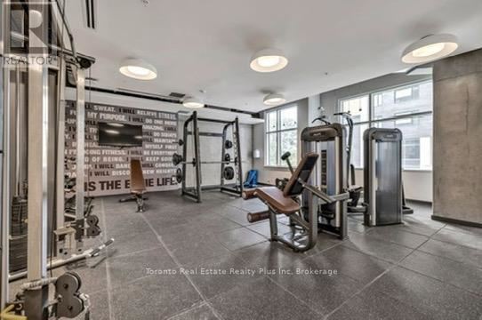 A gym with a variety of equipment including treadmills, weights, and a bench press.