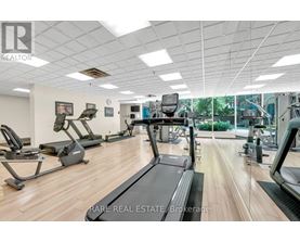 A gym with treadmills, elliptical machines, and other exercise equipment.