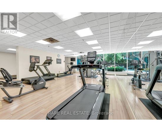 A gym with treadmills, elliptical machines, and other exercise equipment.