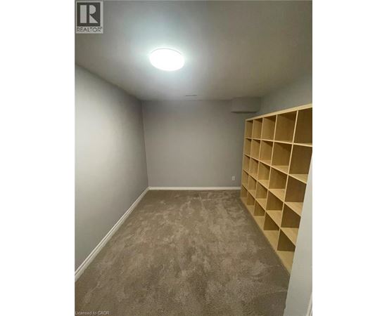 A room with a carpeted floor and a wall of shelves.