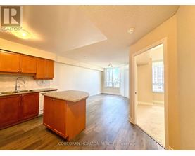 A kitchen with wooden cabinets and a countertop is shown.