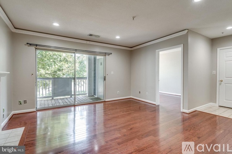 20311 Beechwood Terrace 2 Beds Apartment for Rent - Photo gallery 4