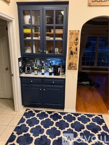 A blue and white patterned rug is on the floor in front of a cabinet with glass doors.