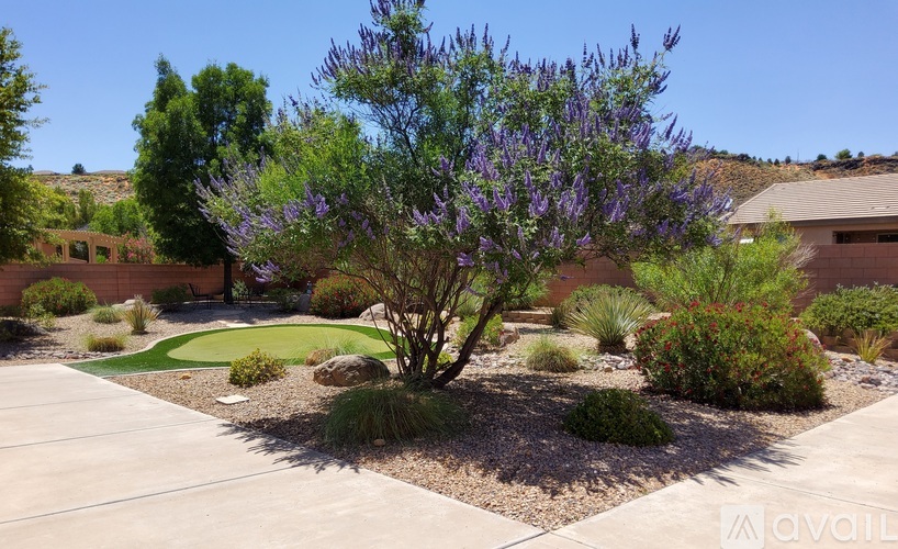 1263 North Spring Valley Drive 3 Beds Single Family Home for Rent - Photo gallery 5