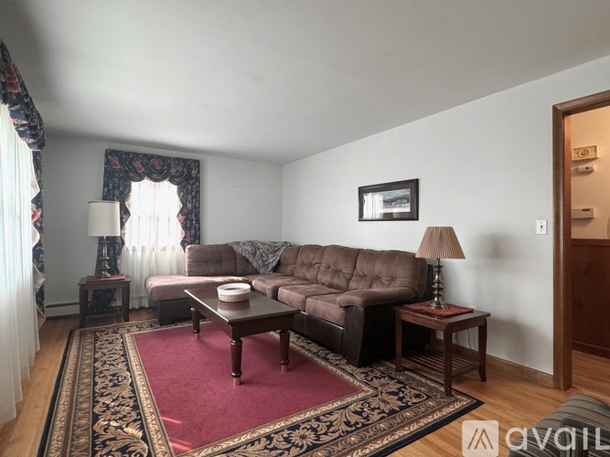 A living room with a brown sofa and a red rug.