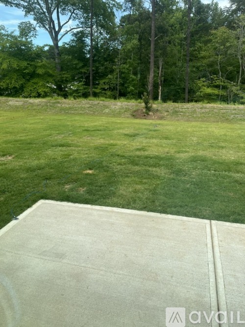 A grassy field with trees in the background and a concrete structure in the foreground.