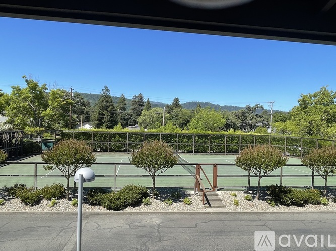 Tennis court surrounded by greenery and trees.