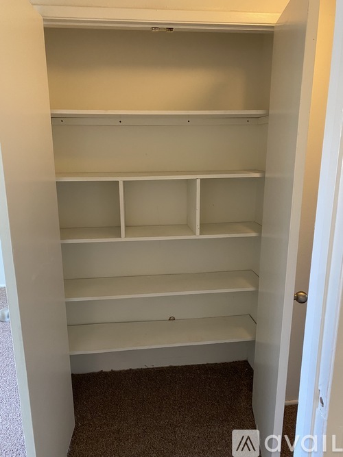 A white closet with shelves and a carpeted floor.