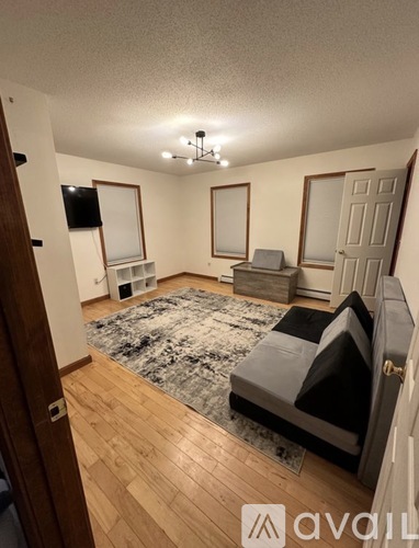 A living room with a grey couch and a rug.