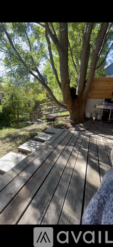 A wooden deck with a tree in the background.