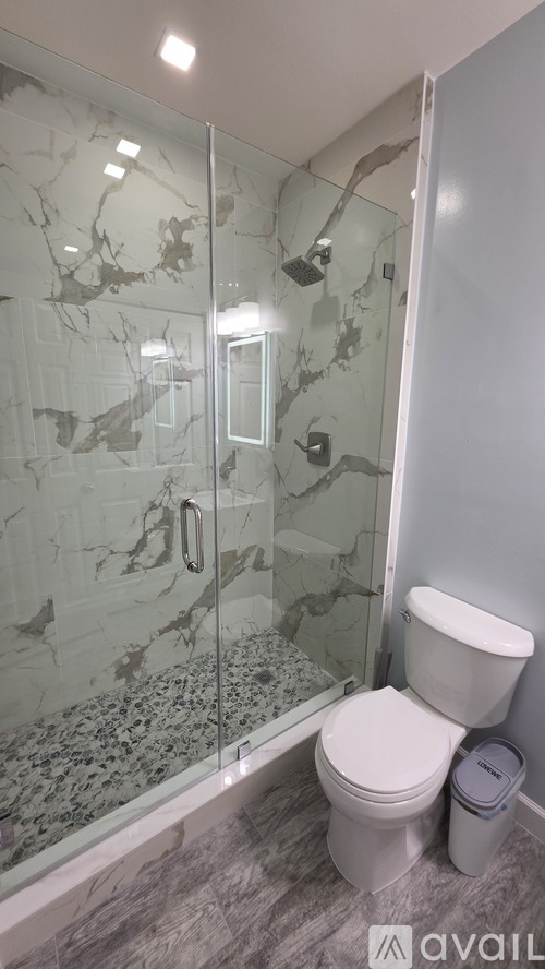 A bathroom with a toilet and a walk-in shower with a glass door.