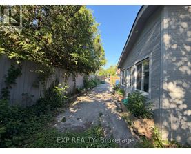 A gravel path leads from a house to a tree.