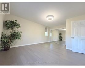 A room with a white door and a plant on the right side.