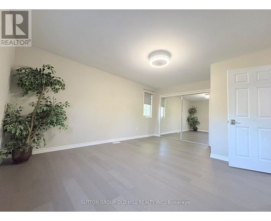 A room with a white door and a plant on the right side.