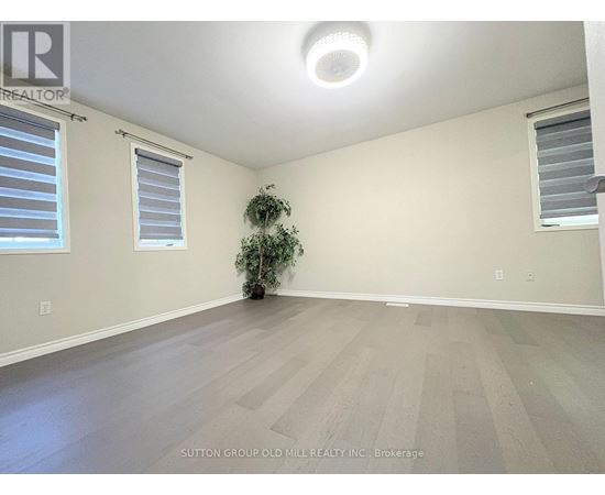 A room with a plant in it.