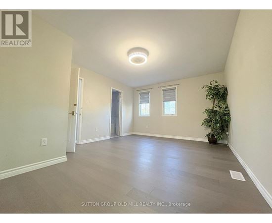A room with a plant on the right side and a door on the left.