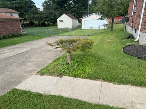 163 Grandview Dr 3 Beds Apartment for Rent