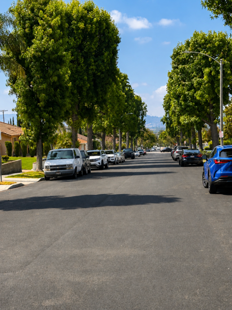 A street lined with parked cars and trees.