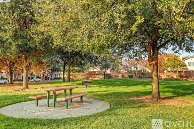 A park with a picnic table and trees.