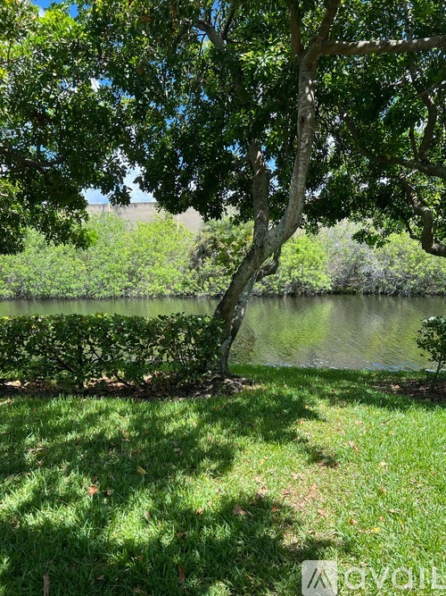 A tree stands in a grassy area next to a body of water.