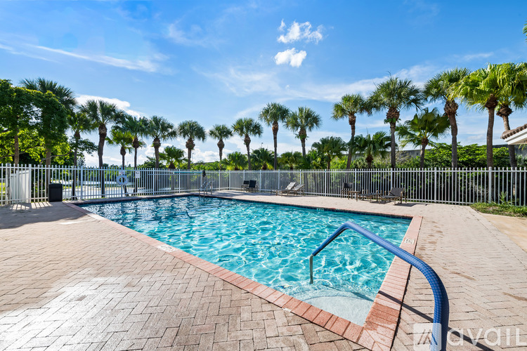 A pool surrounded by palm trees and a fence.