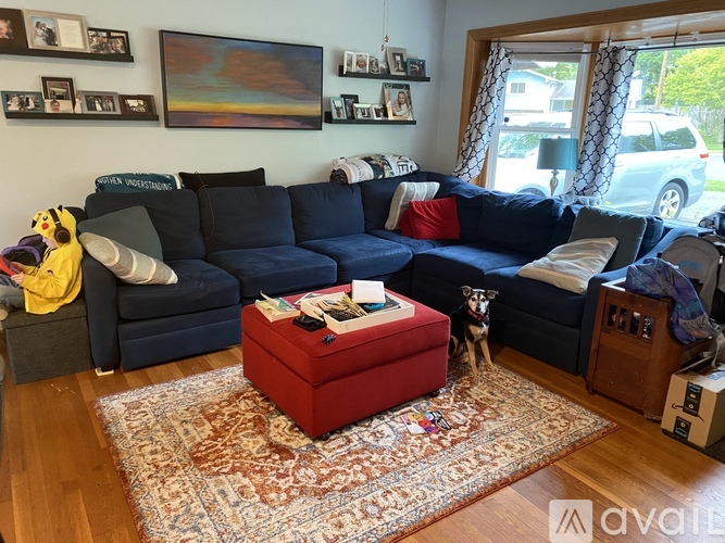 A dog is sitting on a rug in a living room.