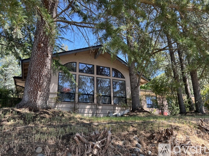 A house with a curved roof and large windows is surrounded by trees.