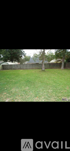 A grassy backyard with a fence and trees.