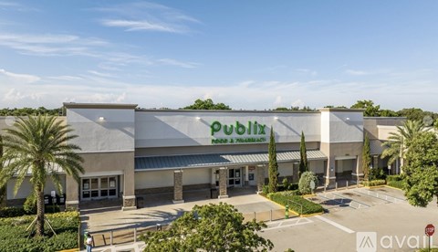 A building with the word "Publix" on it is surrounded by palm trees.