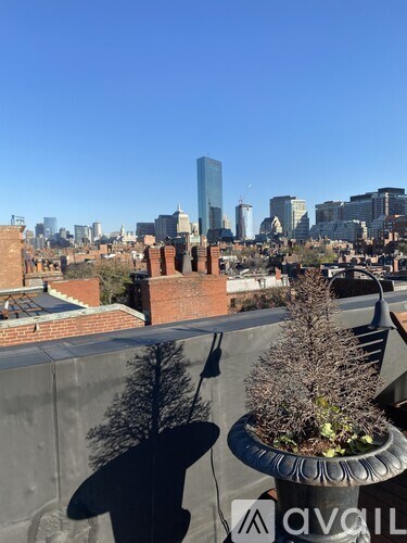 A cityscape with a tall building in the background and a potted plant on a balcony.