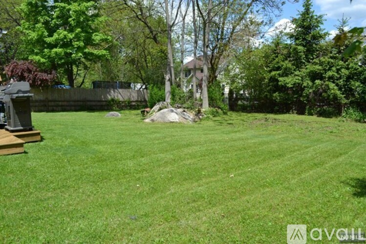 A grassy backyard with a tree and a small building in the background.