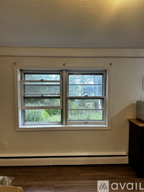 A room with a window showing a view of trees and grass outside.