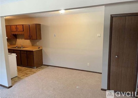 A kitchen area with wooden cabinets and a white dishwasher.