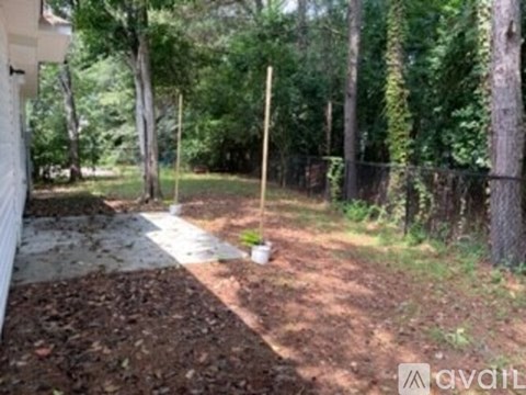 A backyard with a dirt path and trees.