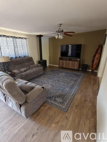 A living room with a grey couch and a rug.