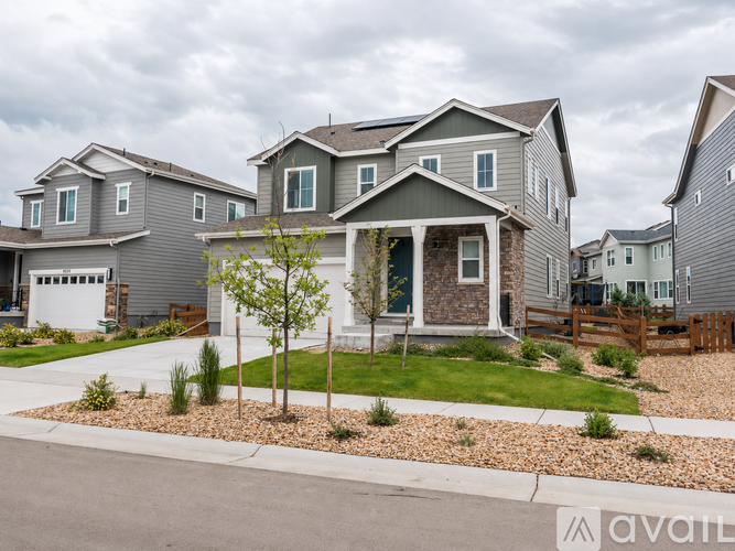 A row of houses with a tree in front of the first one.