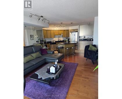 A modern kitchen with wooden cabinets and a purple rug in the middle of the room.