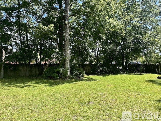 A grassy field with trees and a wooden fence.
