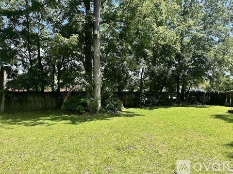 A grassy field with trees and a wooden fence.
