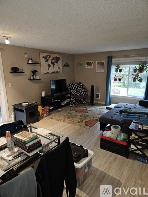 A living room with a couch, a chair, a television, and a rug.