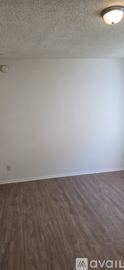 A room with a light on the ceiling and a wooden floor.