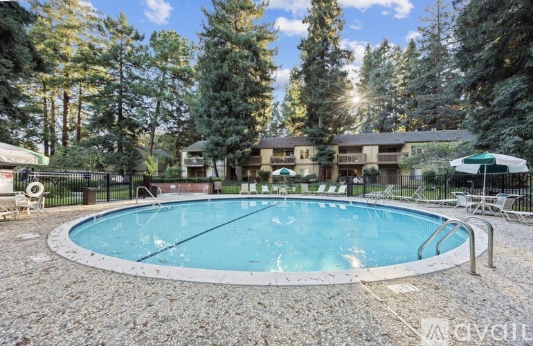 A round above ground pool surrounded by a gravel patio and trees.