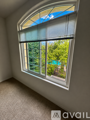 1652 West Canal Circle 1 Condo for Rent - Photo gallery 4