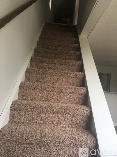 A staircase with brown carpeted steps and white railings.